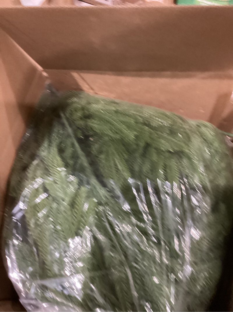 Condition photo showing As Is for DN DECONATION Artificial Christmas Norfolk Pine Stems, Faux Pine Branches 22.4" 12PCS - Real Touch PE Greenery Fake Pine Needles for Vase Arrangements, Winter, Holiday Indoor Outdoor Home Decor Green57 Set of 12