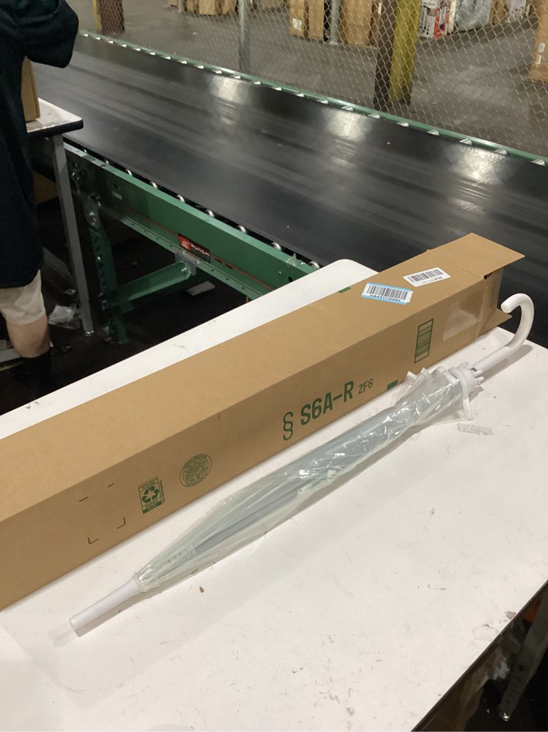 white/clear umbrella