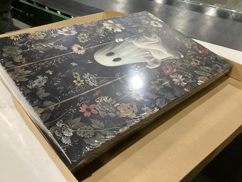 Gothic Wood Framed Canvas Wall Art for Halloween Decor – 3 Piece Dark Crow Skull and Floral Print, Gothic Spooky Romantic Aesthetic Wall Decor for Living Room Bedroom Home Decor – 12x16 inch Black Framed Crow Skeleton Framed 16L" x 12W"