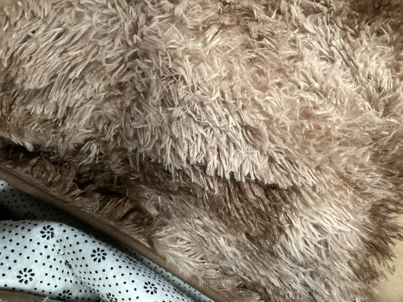 Condition photo showing Good Condition for FinRe?c 8x10 Feet Rugs for Bedroom Living Room, Brown Large Plush Fluffy Shag Area Rug, Non-Slip Fuzzy Furry Shaggy Rug for Kids Room Dorm Room Home Decor, High Pile Soft Floor Carpet Brown 8' x 10' (Rectangular)