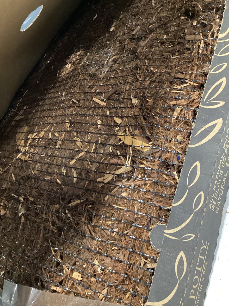 Condition photo showing As Is for bark potty large dog potty training box - disposable, long-lasting pee pad litter replacement - leak resistant, multi-use, odor control, indoor/outdoor toilet tray large 30x20