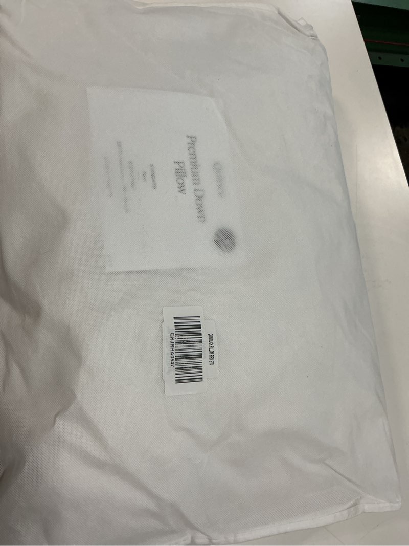 Condition photo showing Good Condition for premium down pillow standard
