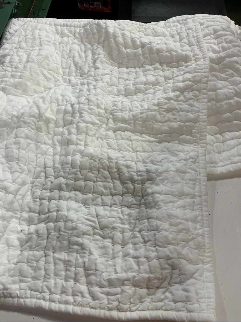 Condition photo showing Good Condition for european linen cotton stitch sham set of 2, standard, white