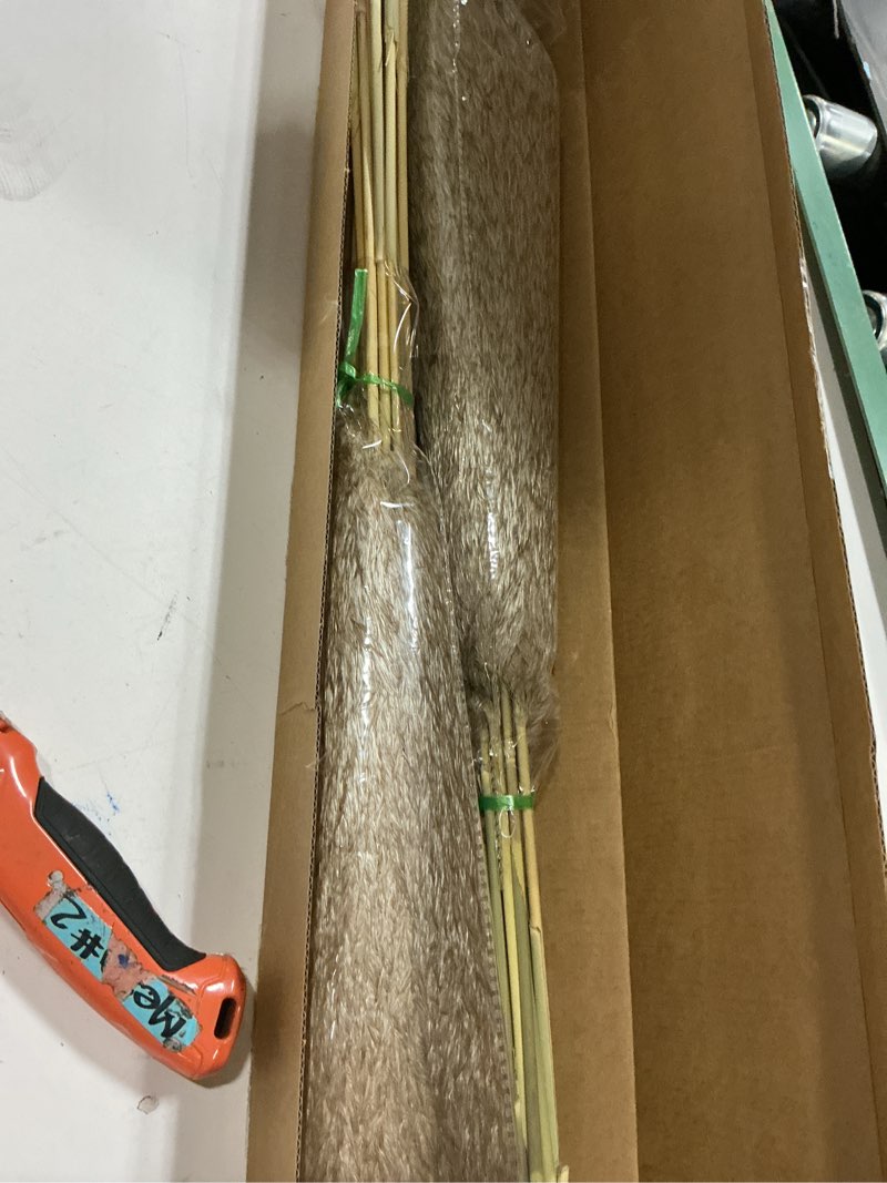 Condition photo showing New/Like New for sreed 20 pcs 27 inch tall fluffy pampas grass xl size brown dry pompous grass decor wedding flower boho decor natural pompas flower bouquet (brown, 27 inch) brown 27 inch