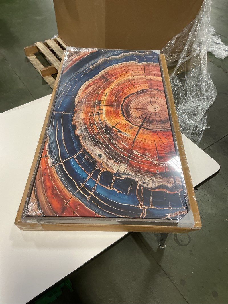 Condition photo showing New/Like New for Framed Vertical Colorful Tree Ring Living Room Wall Art, Large Vintage Farmhouse Wood Stump Canvas A