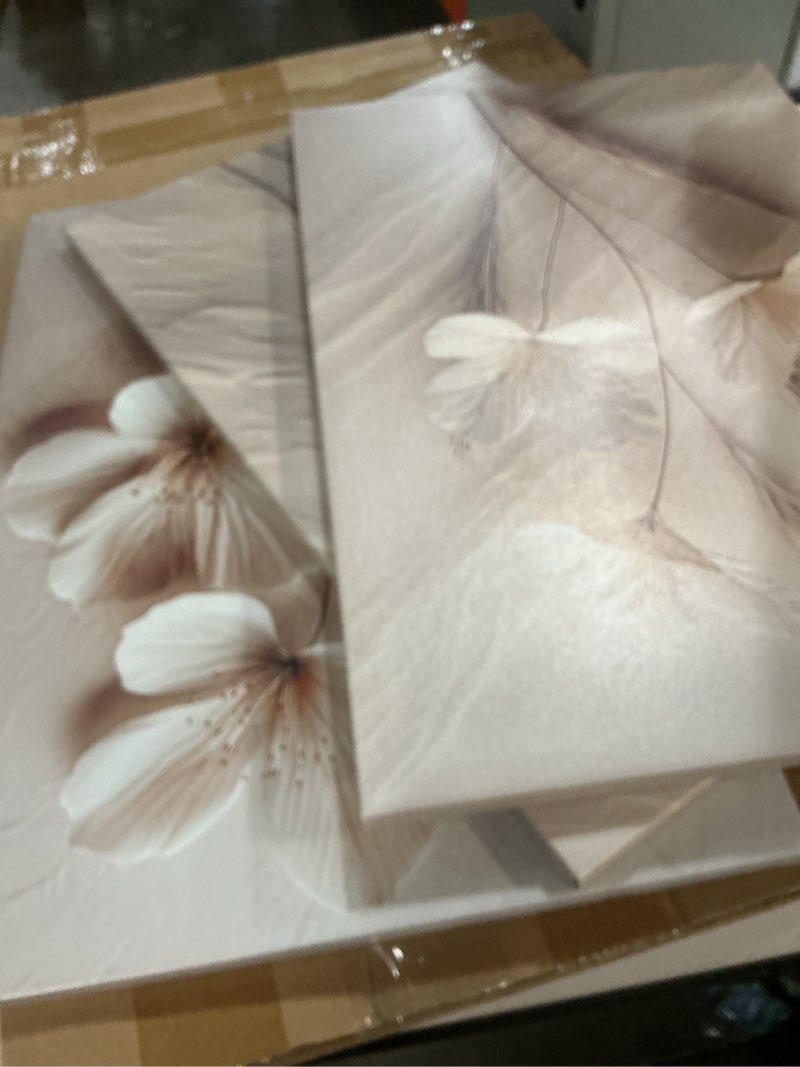 Condition photo showing Good Condition for tueasky 3 piece canvas wall art beige wall decor floral pictures flower art prints neutral botanical paintings minimalist artwork for bedroom living room office beige wrapped canvas 16x24in