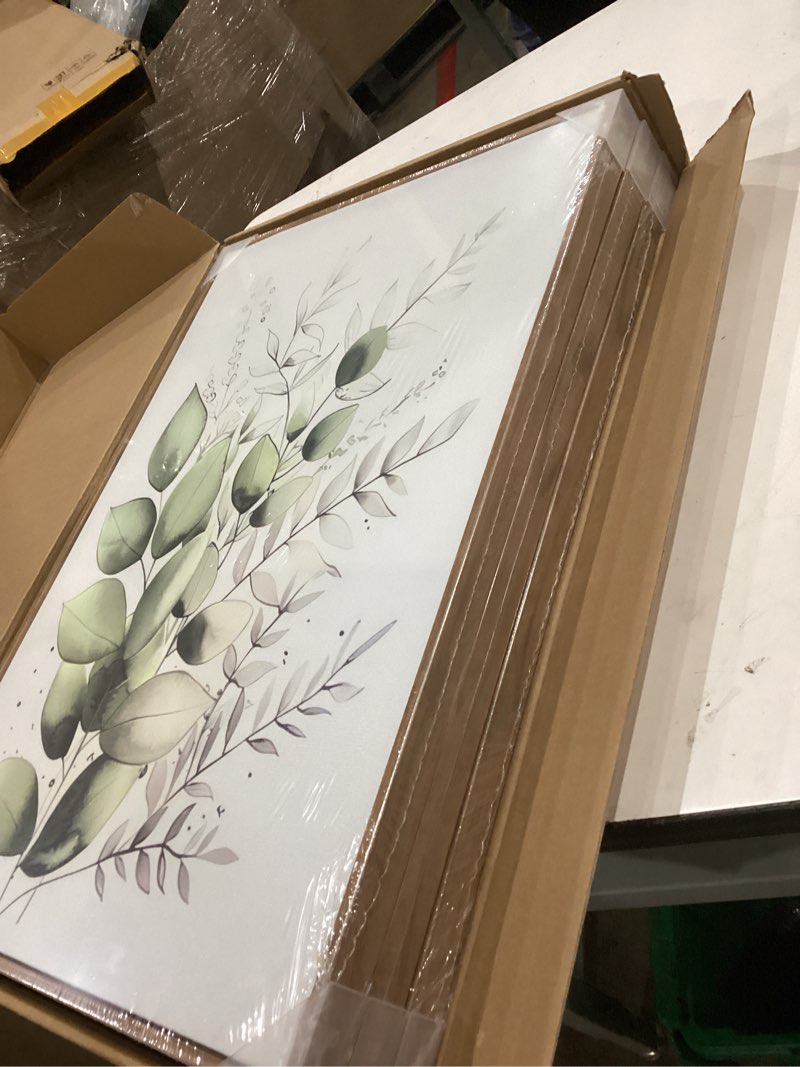 Condition photo showing New/Like New for bwodke botanical wall art plant floral watercolor canvas prints set of 3 framed sage green painting eucalyptus leaf picture modern minimalist boho decor bedroom bathroom living room 16"x24" green 16"x24" natural framed