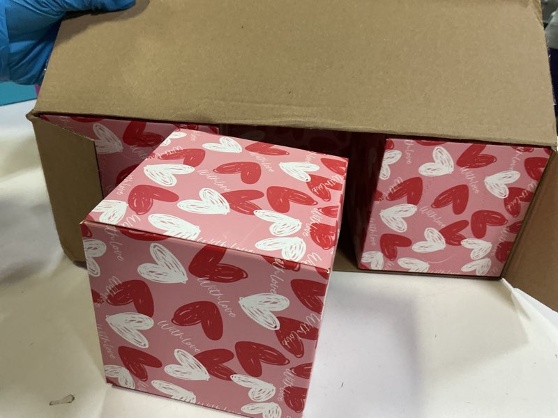 Condition photo showing Good Condition for 12 Pack Valentine's Day Heart Facial Tissues Cube Face Boxes 600 Sheets 3 Ply Small Square Tissues Bulk for St. Patrick Spring Easter Car Bedroom Supplies(Classic Style)