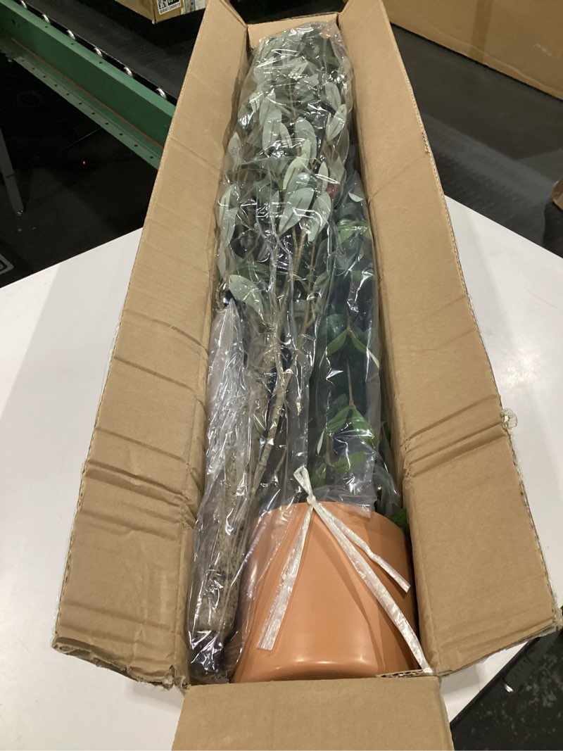 Condition photo showing Good Condition for 7FT Artificial Olive Tree Indoor Tall Realistic Faux Olive Tree with Plastic Planter, Fake Silk Tree with Handcrafted Branches & Fruits, Large Fake Plant for Home and Office Decor