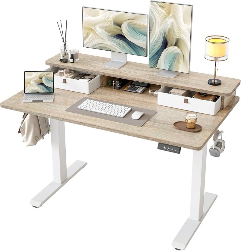 TIQLAB 48 * 24 Inch Standing Desk with Two Drawers, Stand Up Standing Desk Adjustable Height, Electr