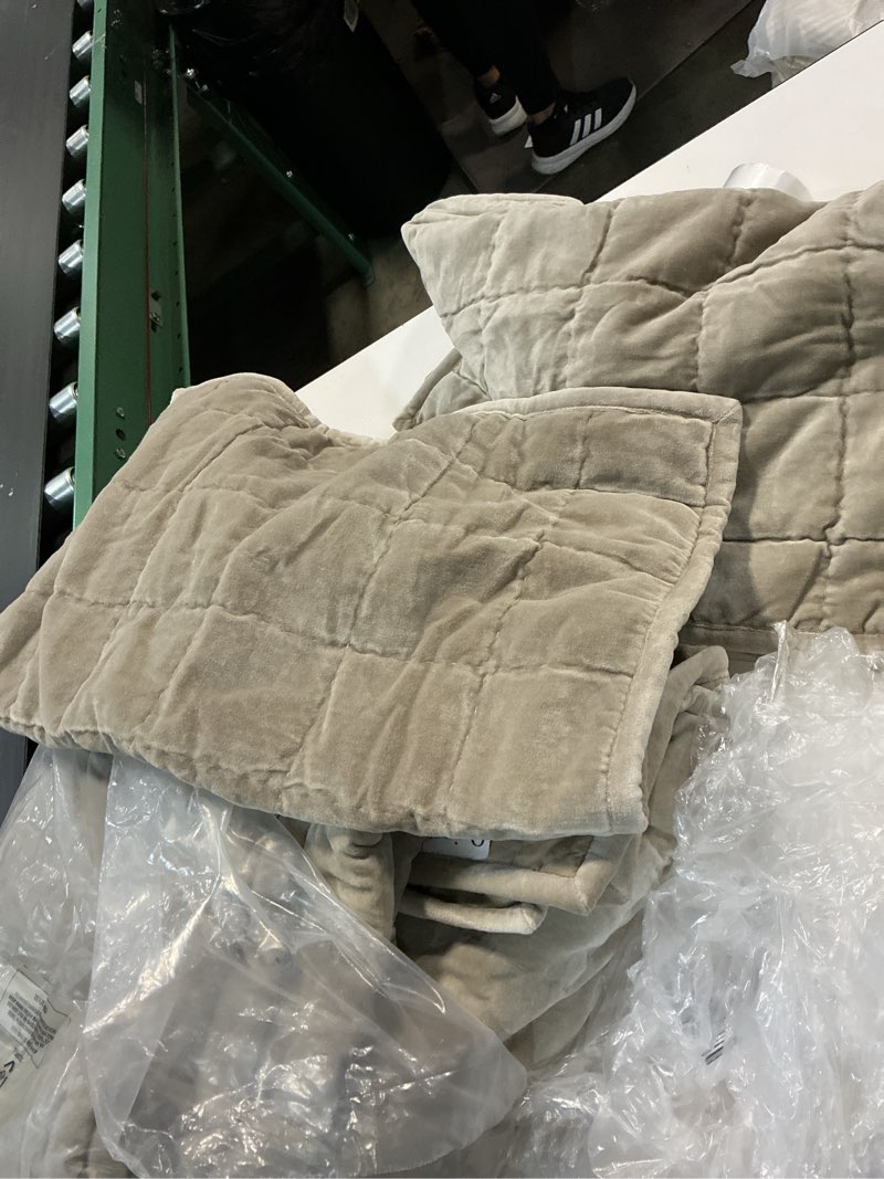 Condition photo showing Good Condition for quince cotton velvet box quilt set full queen in olive