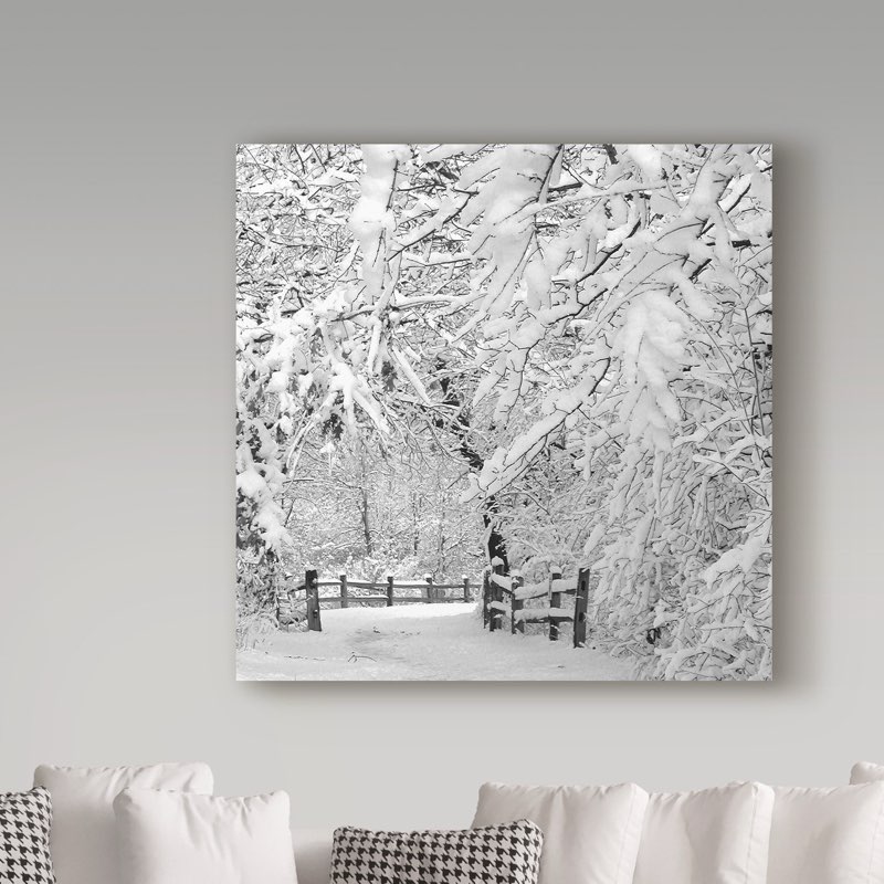 'Winter Wonderland White' Photographic Print on Wrapped Canvas Size: 24" H x 24" W x 2" D