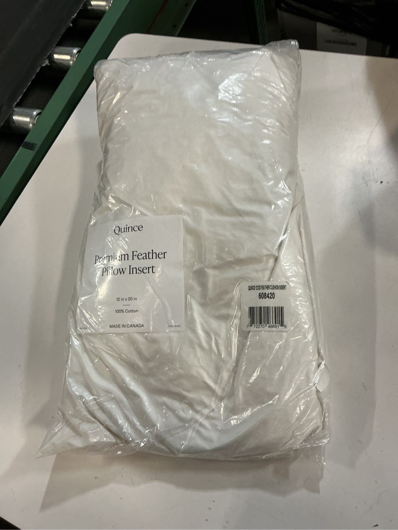 Condition photo showing Good Condition for quince premium feather pillow insert size: 12x20 quantity  individual