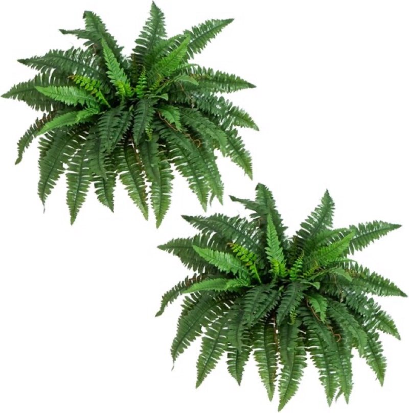 40" artificial boston fern – set of 2 realistic hanging plants for home décor