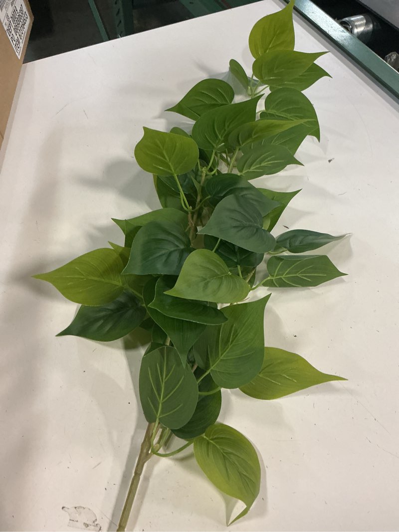 pothos plant stems 14 inchs, set of 12 