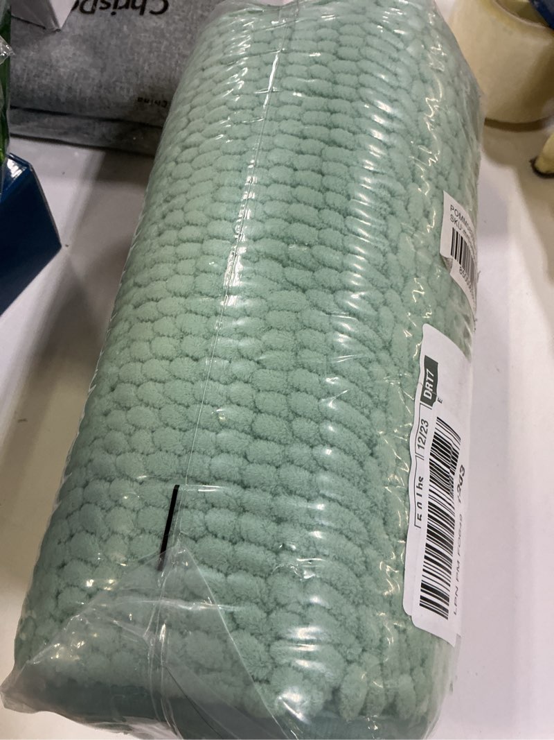 Condition photo showing New/Like New for Muddy Mat® | Super Absorbent Door Mat Indoor, Microfiber Quick Dry Chenille Entryway Rug, Non-Slip Front Door Mat, Indoor Mats for Entryway, Machine Washable Pet Rug, Seafoam Green 59"x24" Seafoam Green 24" x 60"