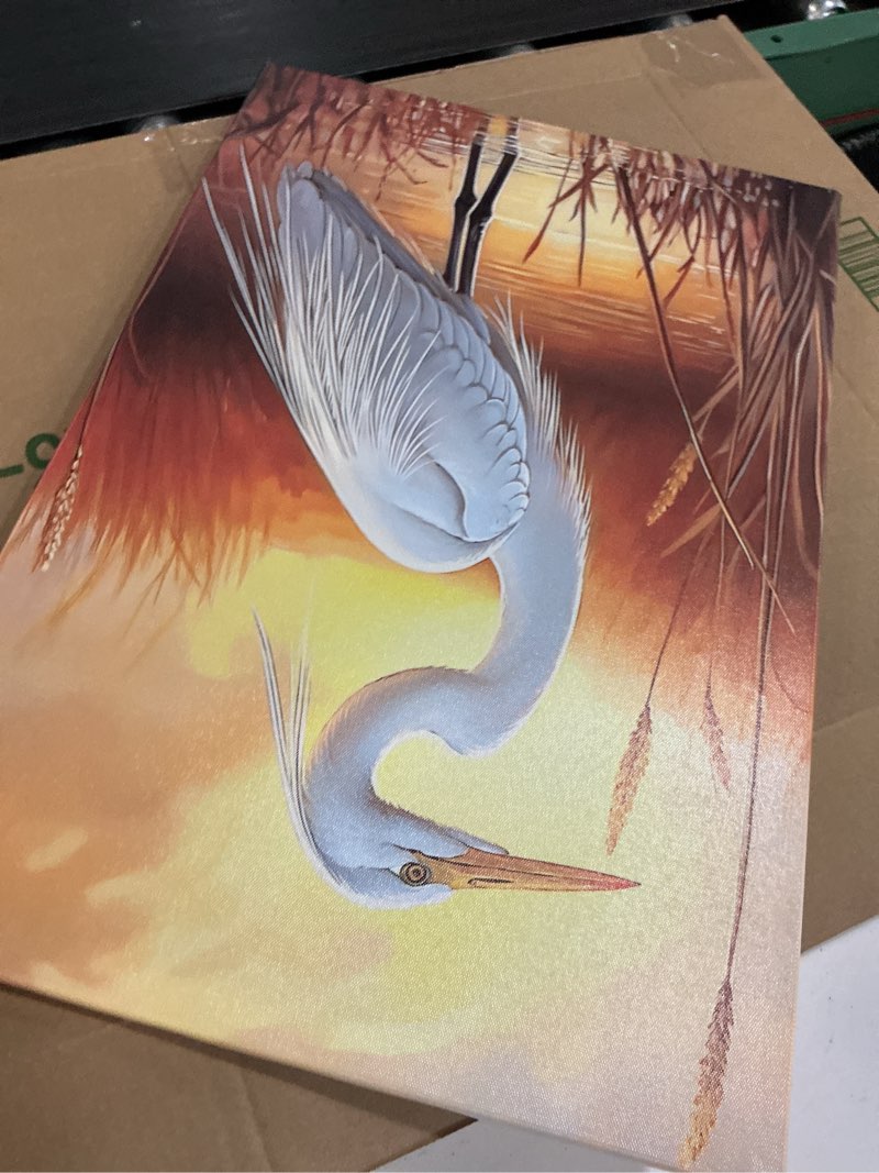 Condition photo showing Good Condition for ccworkerry white heron pictures bathroom wall decor coastal bird couple painting beach egret poster wildlife reed canvas prints hallway decor(yellow,16l x 24w) yellow 16l" x 24w"