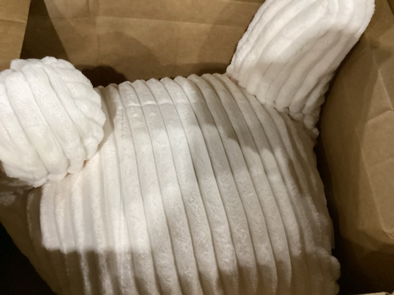 Condition photo showing Good Condition for blissful diary reading pillow for sitting in bed, flannel back pillow bed sitting up for adult & children, backrest cushion for sit up in couch or floor, dorm essentials, cream white standard(18inch) fuzzy cream white