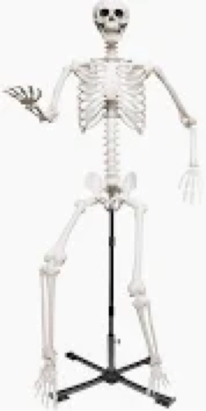 wocst 7.9ft/240cm giant skeleton life size skeleton with metal adjustable stand for halloween outdoo