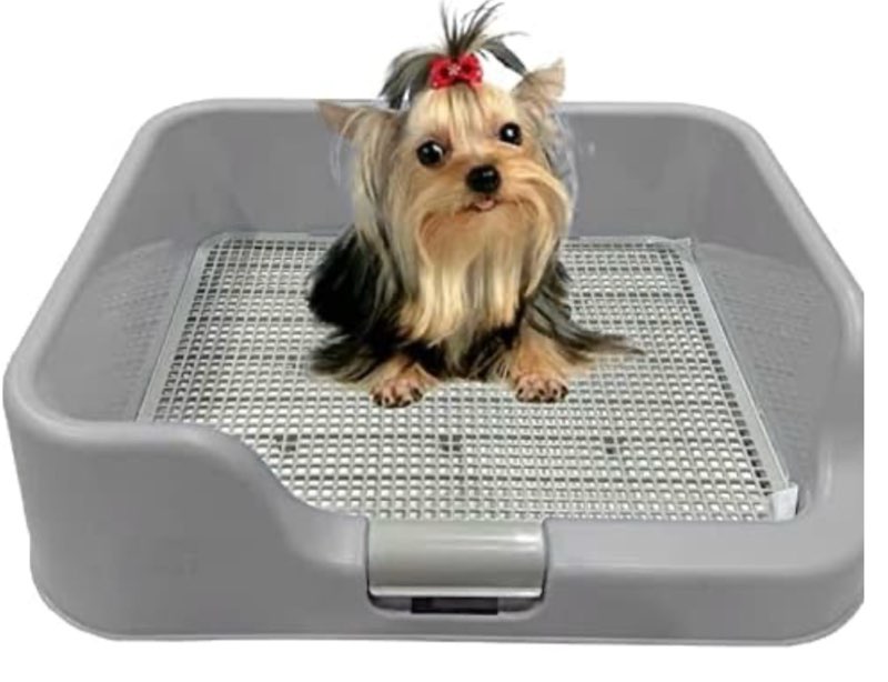 [dogcharge] indoor dog potty tray – with protection wall every side for no leak, spill, accident - keep paws dry and floors clean (tray only, grey) tray only grey