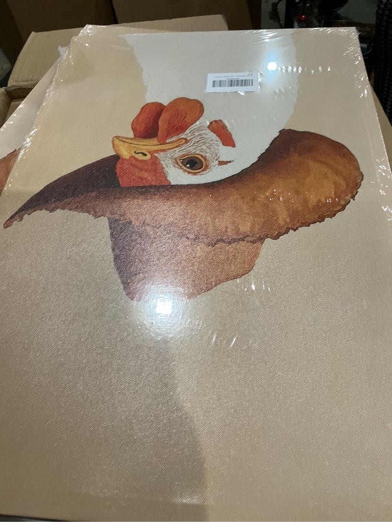 Condition photo showing Good Condition for vintage cowboy rooster canvas wall art funny animal cowboy silly chicken picture wall decor eclectic western art farmhouse rooster painting poster print artwork for bedroom bathroom,16x24in cowboy chicken 24"l x 16"w