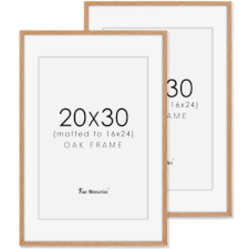 Fun memories aluminum picture fram 20x30 gold