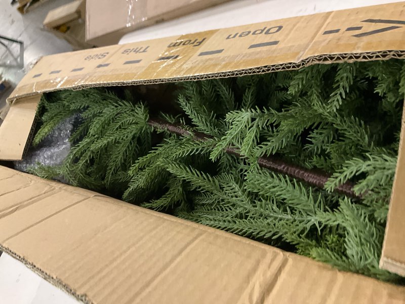 Condition photo showing As Is for Norfolk pine tree parts