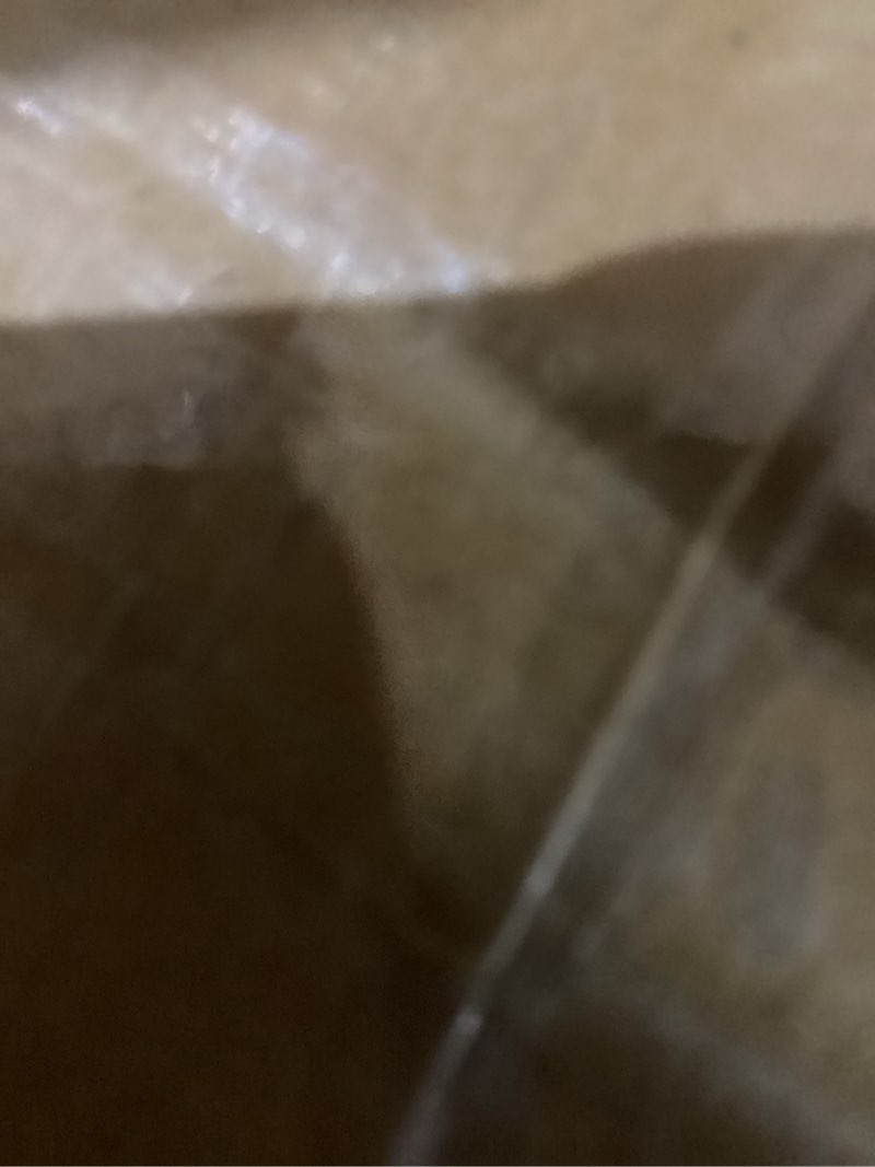 https://lotting-media.assets.bidfta.com/lotting_05fa89fe-82b4-40e0-b822-b896f2d52e05