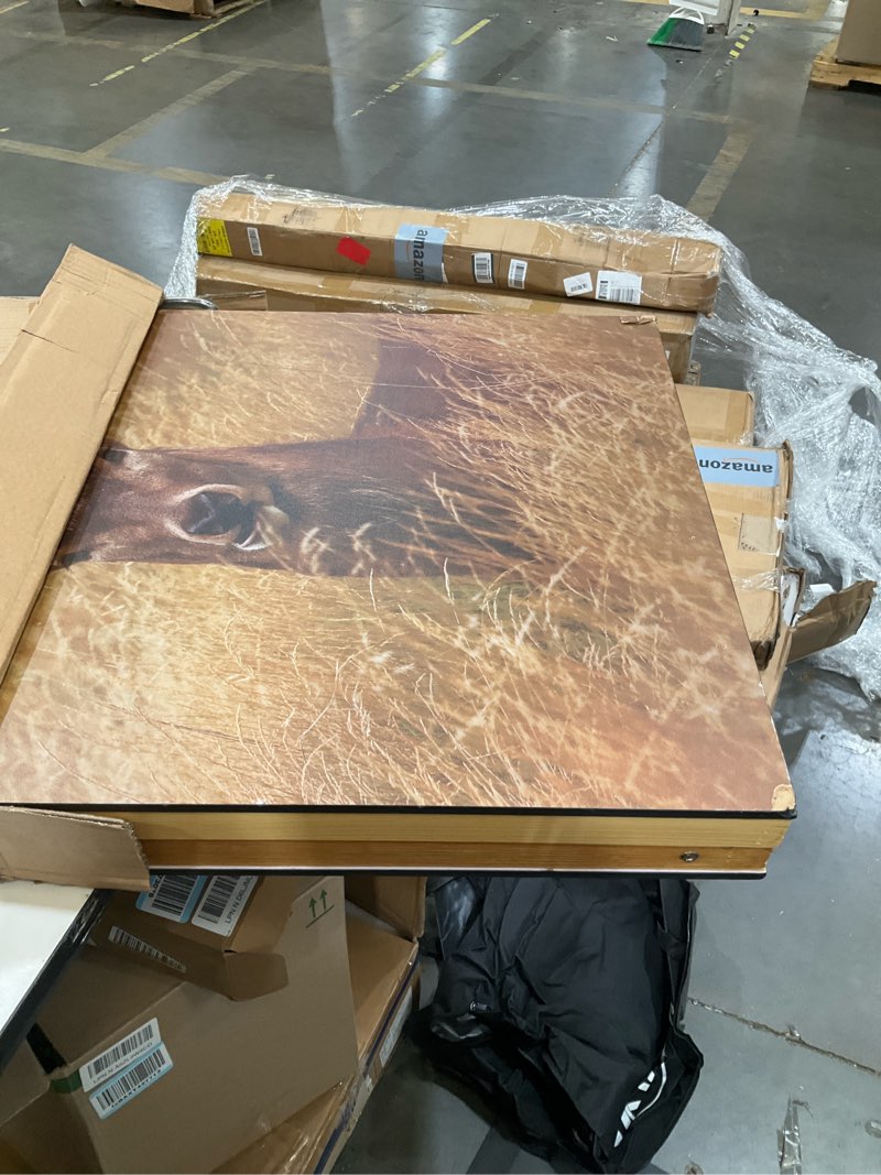 Condition photo showing Good Condition for regulation size cornhole boards set 2x4 ft with 8 bean bags, portable cornhole set with carrying case,corn hole games for adults deer
