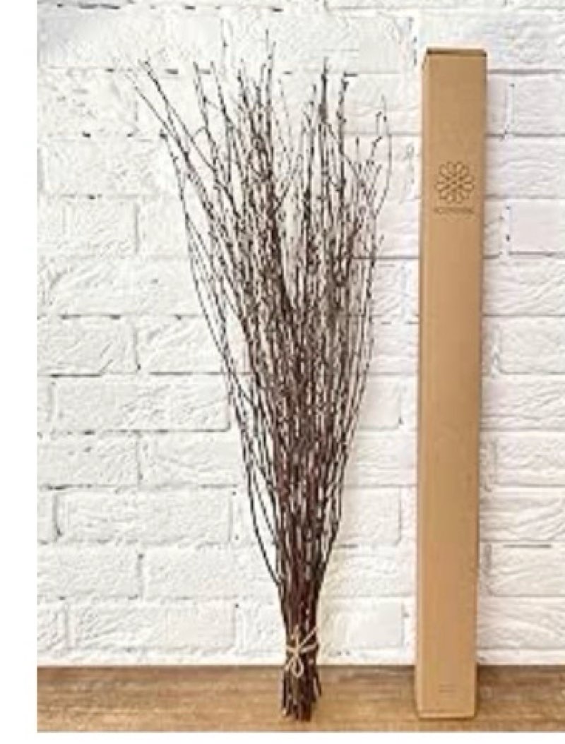 ecovenik 25 psc - branches - 73 cm, natural birch twigs, pack of 20-25 stems, long for floor vases, 