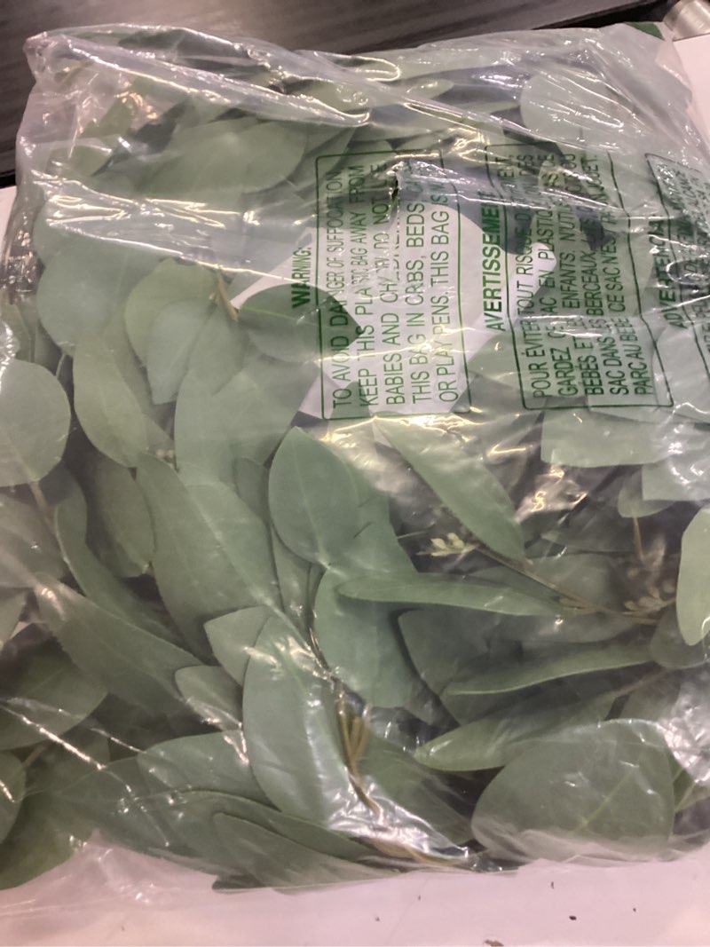 Condition photo showing Good Condition for dearhouse 5.5ft seeded eucalyptus garland, artificial vines faux eucalyptus leaves table garland artificial greenery wedding backdrop arch wall decor