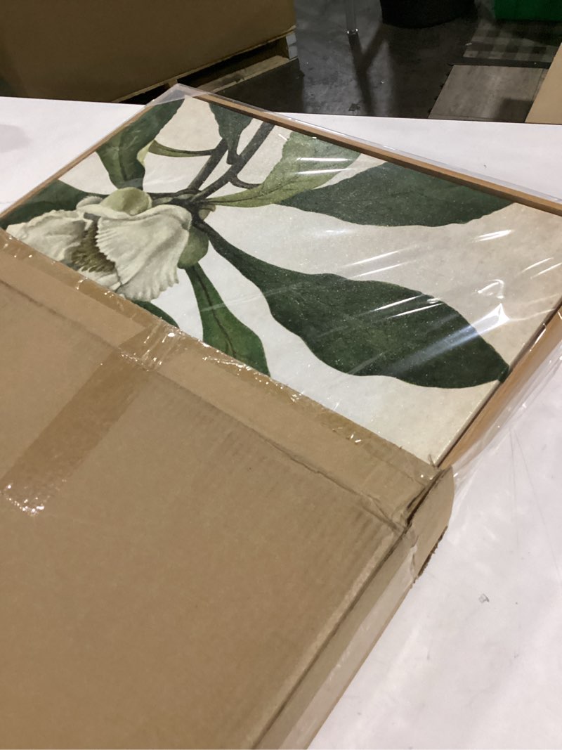 Large Framed Canvas Wall Art - Natural Float Framed White Flowers Green Leaves Pictures Decor Simple