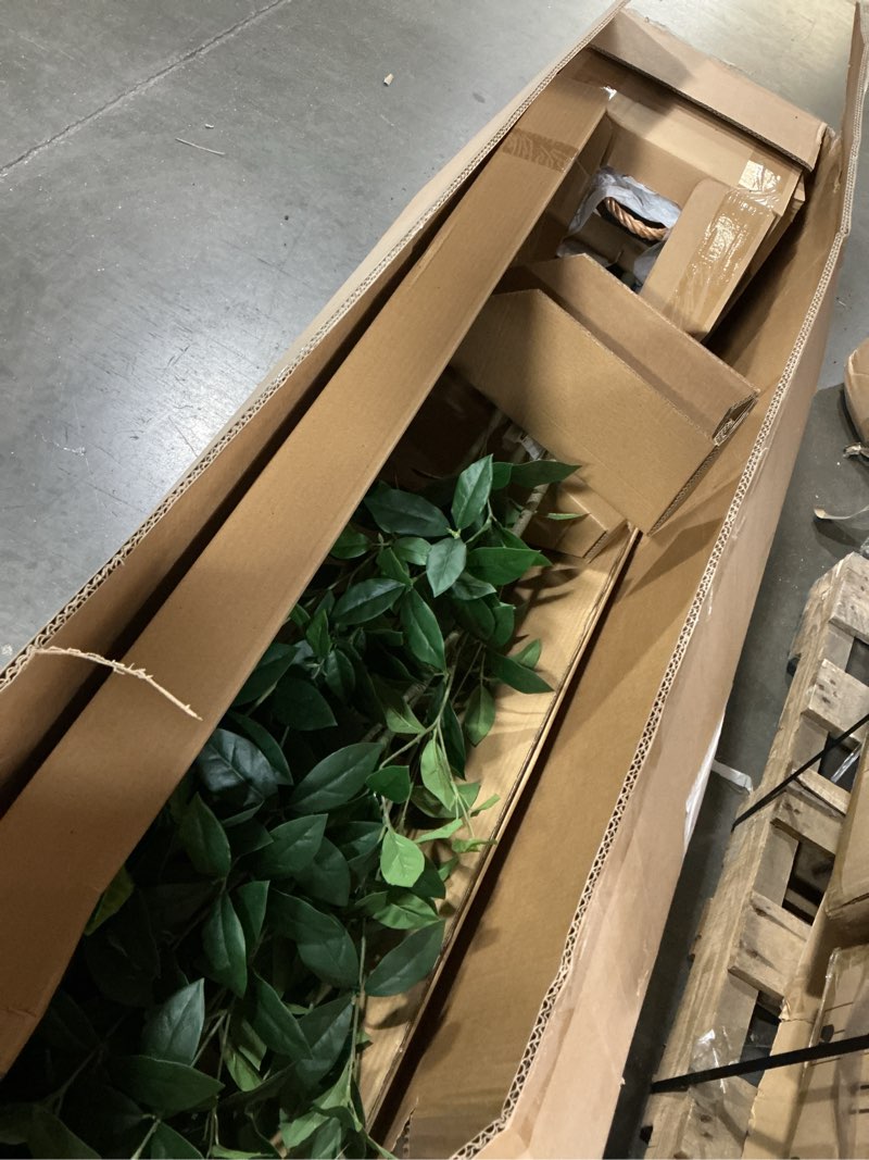 Condition photo showing New/Like New for bay leaf tree in basket - threshold™ designed with studio mcgee