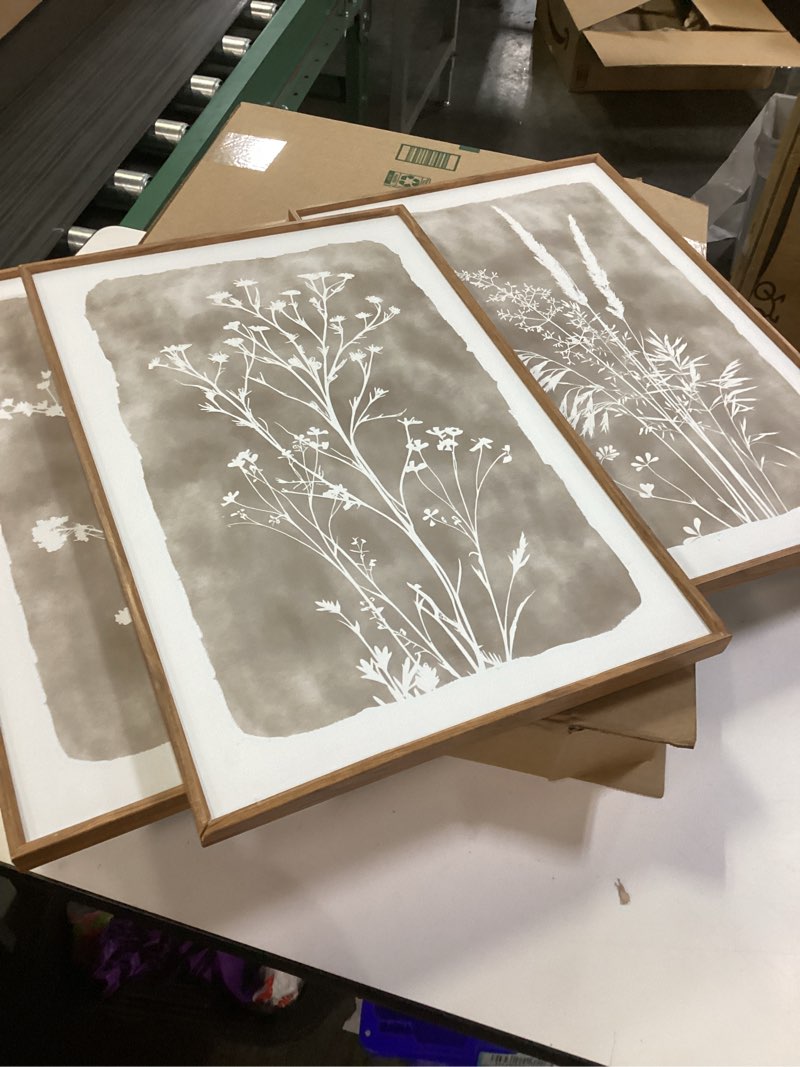 Condition photo showing Good Condition for Neutral Floral Framed Canvas Wall Art Set of 3, 16"x24" Large Boho Botanical Wall Decor, Minimalist Plant Wall Painting, Rustic Wildflower Artwork for Living Room Bedroom Farmhouse Office 16"x24" Botanical Wall Art