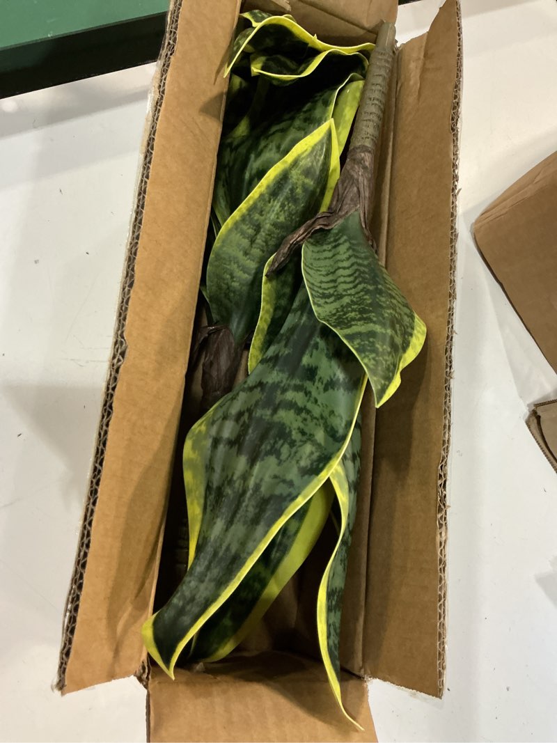 Condition photo showing Good Condition for dilatata unpotted artificial snake plant faux sansevieria leaf single stem fake agave greenery realistic plastic plant for home office garden indoor outdoor decor sansevieria trifasciata