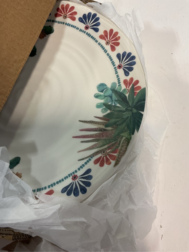 Condition photo showing New/Like New for desert succulent newwave melamine dinner plate - cream - 10.5" - set of 6