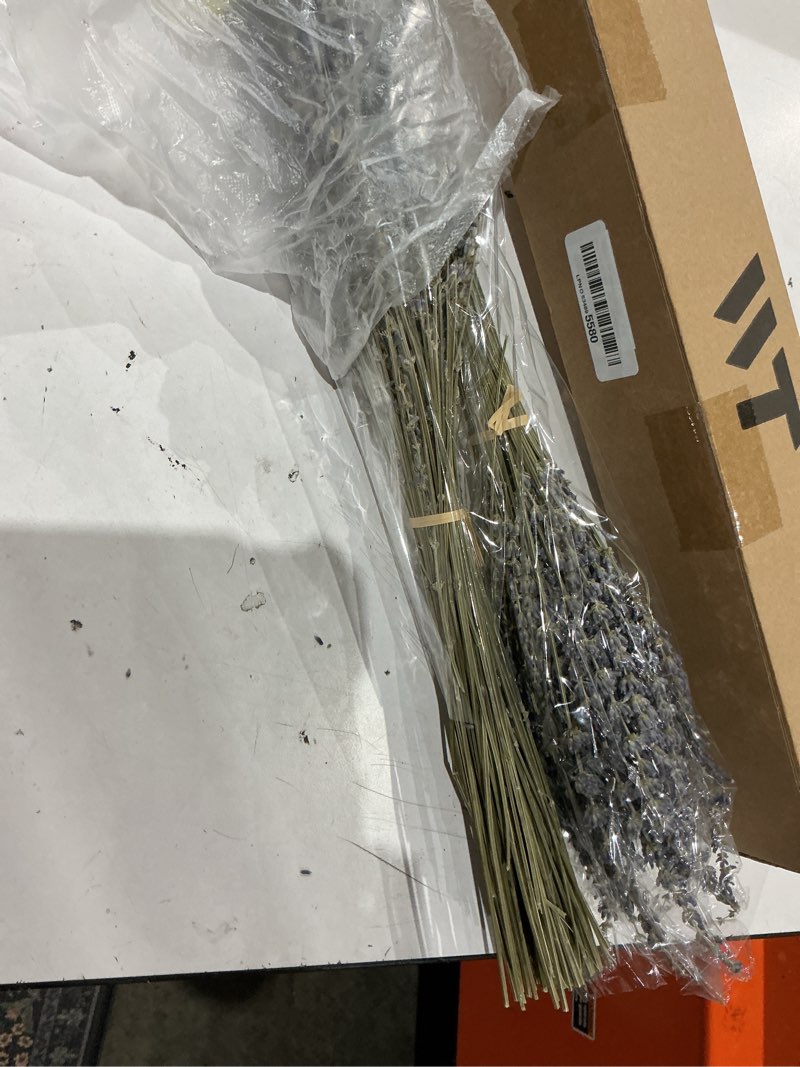 Condition photo showing As Is for dried lavender 2 bunches 100% fresh natural purple bouquet flowers for bathroom photo props crafts decoration, 15-17" for shower weeding vase decor, home fragrance(200-220 stems(100g/3.5oz total)) 2 bunches lavender