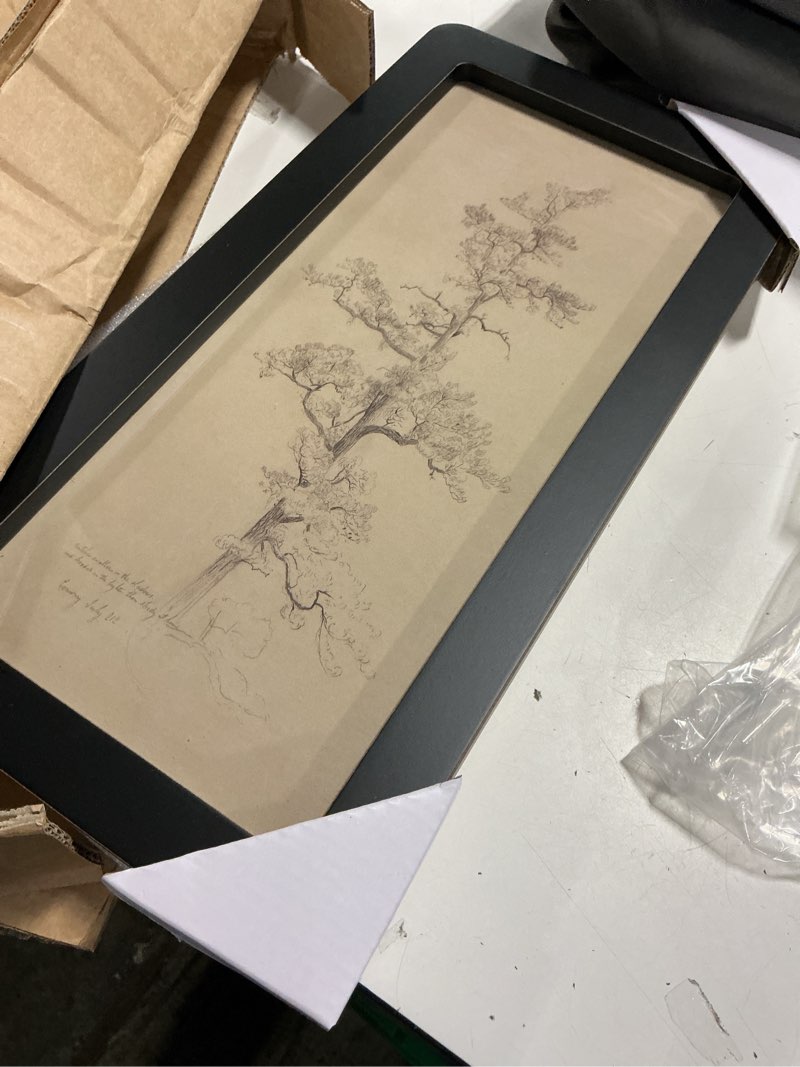 Condition photo showing Good Condition for 16"x8" sketched tree in black frame wall art - hearth & hand™ with magnolia