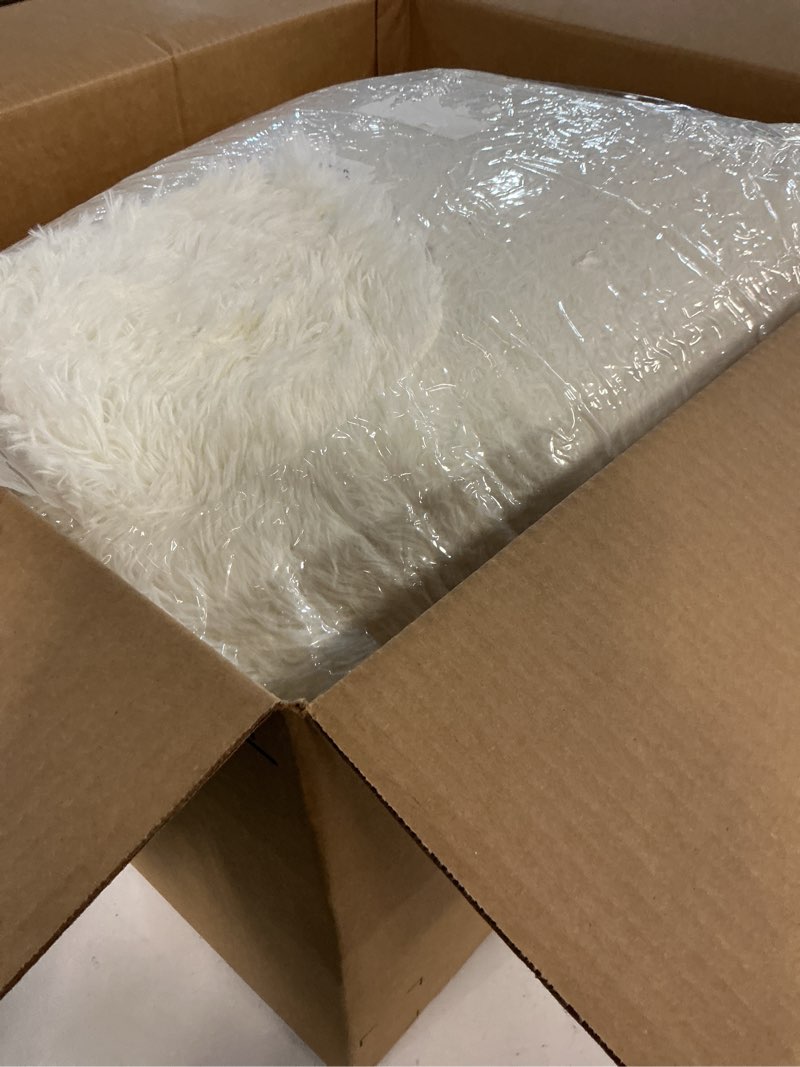 Condition photo showing Good Condition for sour lemon area rugs 9x12 living room, cream large area rug shag shaggy carpet soft plush furry bedside rug, machine washable area rugs for bedroom kids girls boys home decor anti slip cream 9' x 12' (rectangular)