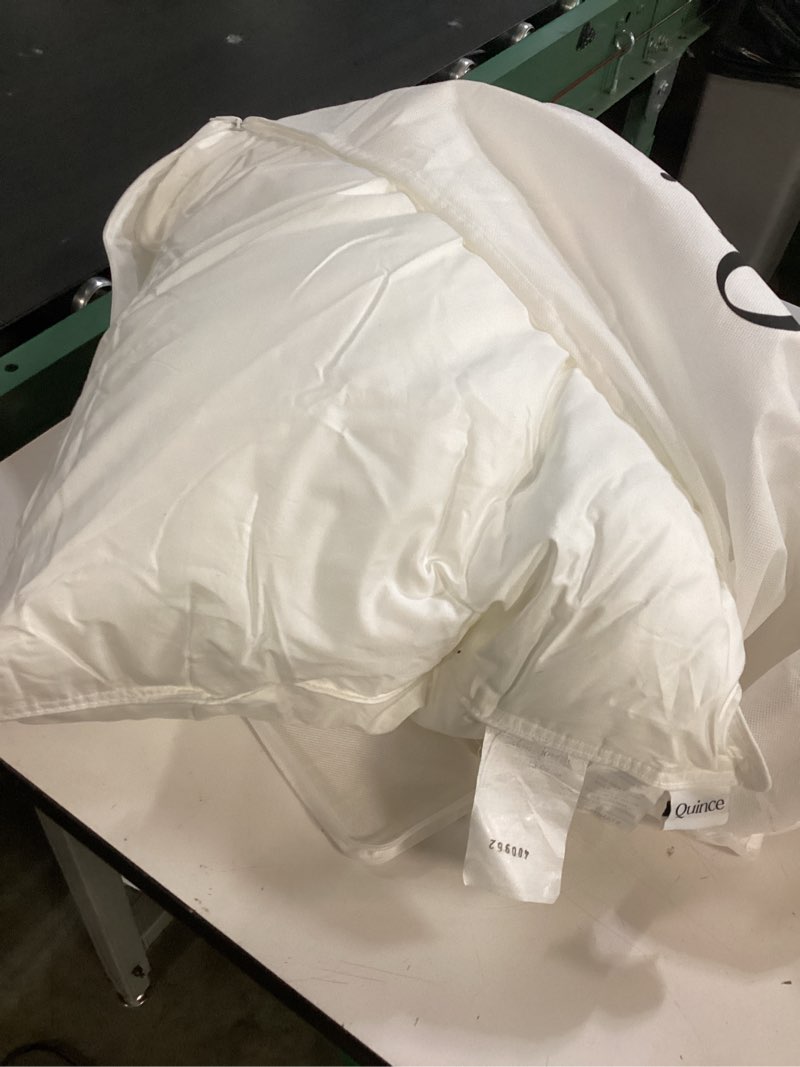 Condition photo showing As Is for quince cotton pillow white  mulberry silk pillow