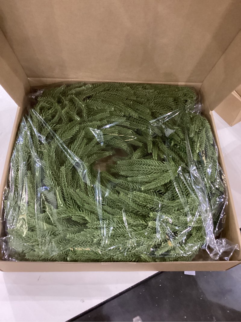 Condition photo showing New/Like New for 24“ Norfolk Pine Wreath, Christmas Wreaths for Front Door and The Perfect Outdoor Christmas Wreath, Christmas Door Wreath for Christmas Decor Indoor Outdoor Window Wall Decoration