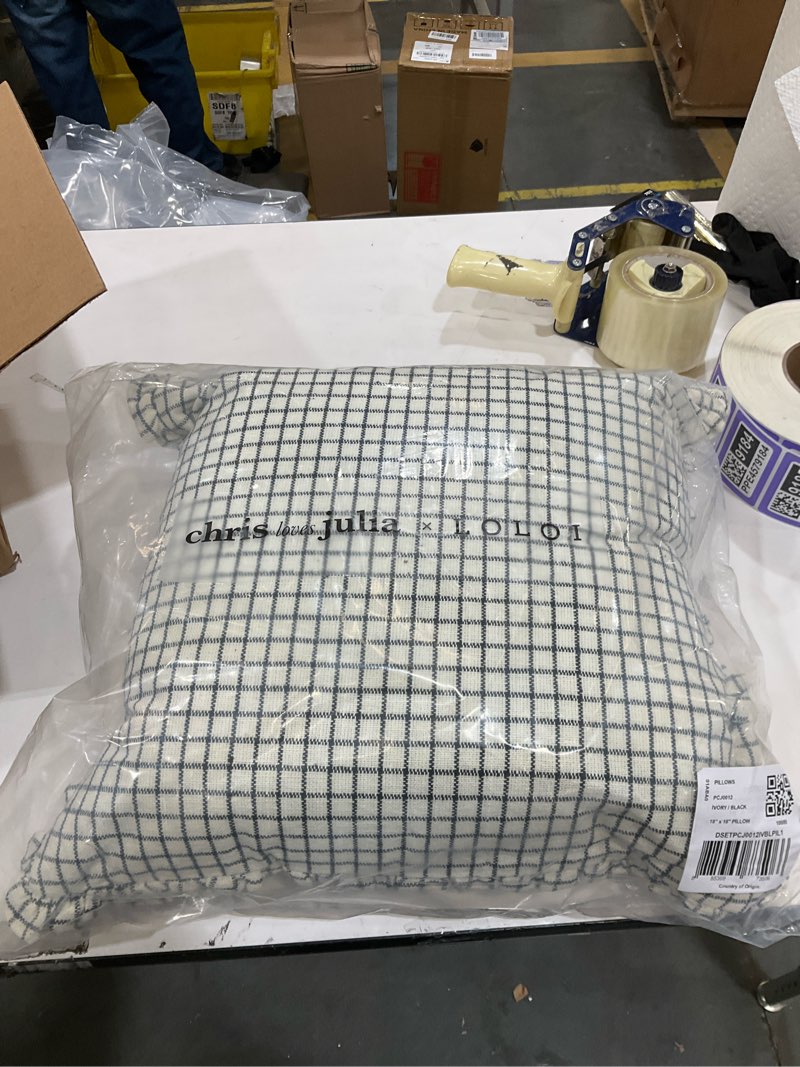 Condition photo showing New/Like New for Loloi Chris Loves Julia Dinah Collection PCJ0012 Ivory/Black 18'' x 18'' Cover w/Down Pillow Ivory / Black 18'' x 18'' Cover w/Down