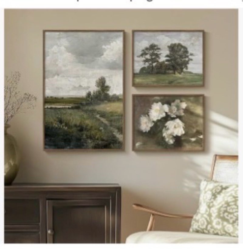 Framed Vintage Wall Art for Living Room, 3 Pieces Retro Floral Canvas Artwork for Bedroom, French Fa