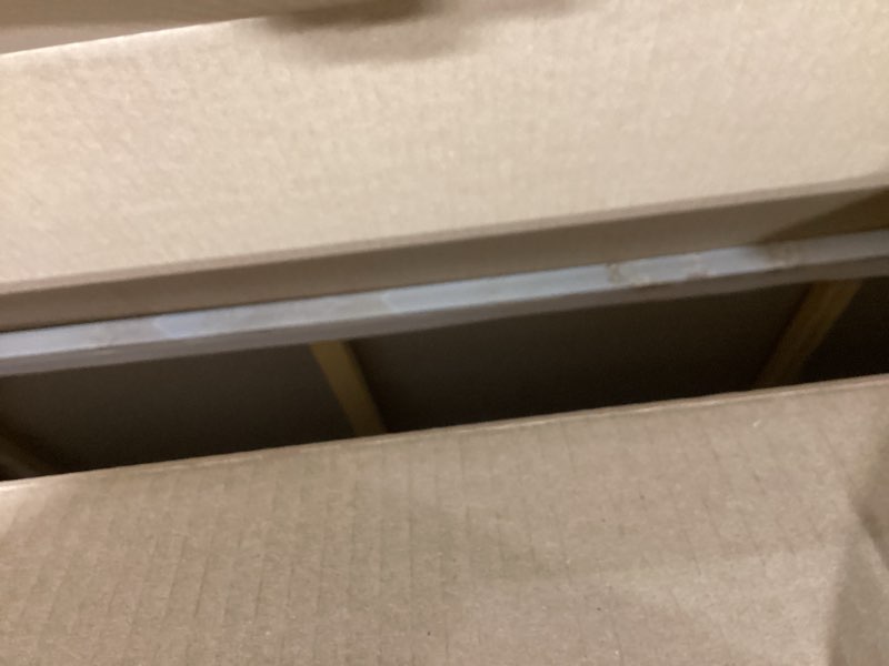 Condition photo showing Good Condition for Large Tree of Life Canvas Wall Art Gold and White Big Tree Painting Picture Wall Decor Bright Botanical Floral Poster Print Artwork for Living Room Dining Bedroom Home Decoration canvas 40"L x 20"W