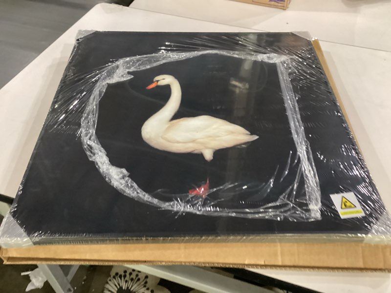 Standing goose wall art with an all black background, Size 24x24