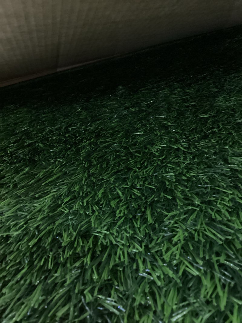 Condition photo showing New/Like New for Dog Grass Pad with Tray, 31×21in Medium Litter Box, 2×Grass Pad for Dogs Potty Washable, Thick Soft Odor-Free Hemmed Dog Pee Grass, Indoor Potty Training Balcony M 31"×21" for 10-30lb dog