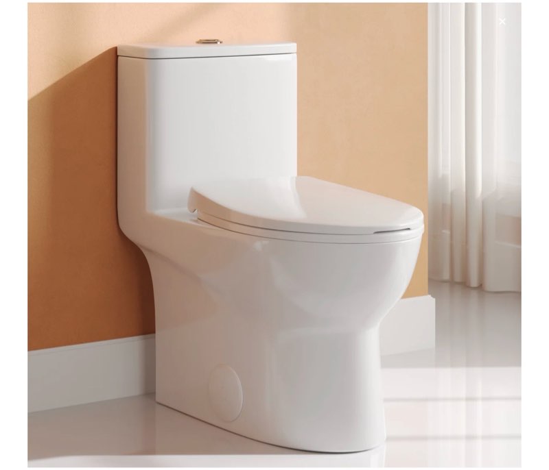 ally dual-flush elongated one-piece toilet with glazed surface modern toilet with comfort seat height (seat included) dv-1f52816