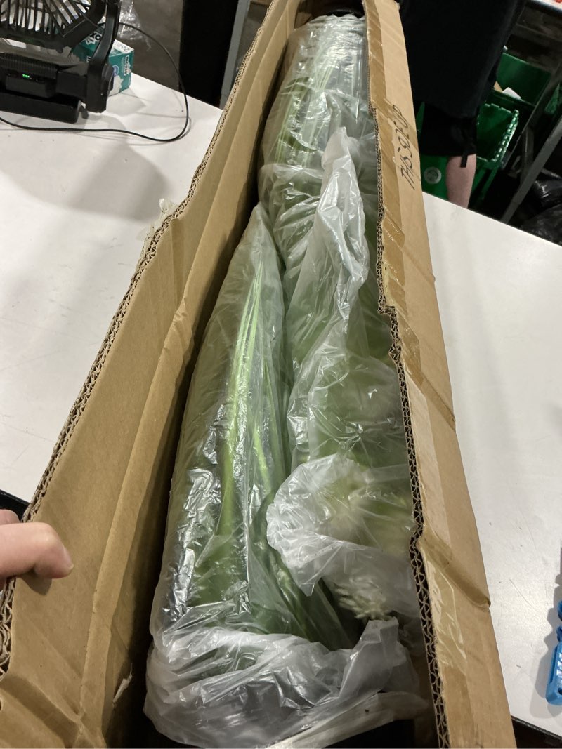 Condition photo showing Good Condition for florafairy 4ft 2-pack horsetail reed grass with white cockscomb flower, 48in tall indoor outdoor green onions fake plants in pot, home office decorative artificial plant & greenery, wedding décor 4ft - 2pack white