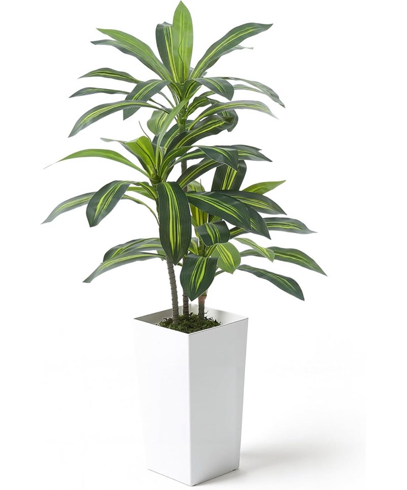 item similar )))))4 ft artificial dracaena tree, fake plant in modern white planter with moss décor, 48 inch realistic faux floor tree for home office living room decor