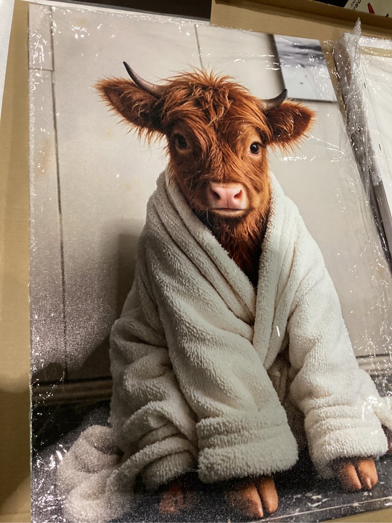 Condition photo showing New/Like New for Cow bathroom wall art 16-24 